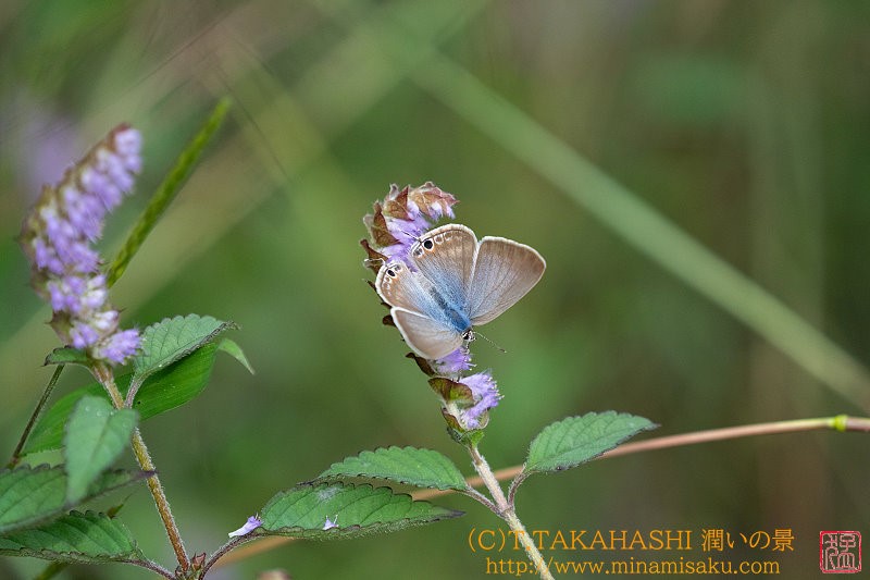 ../Images/7R240928 (131).jpg